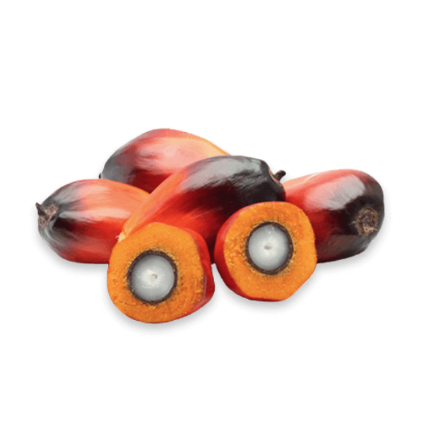 Atlantic Rose Palm Kernel Oil