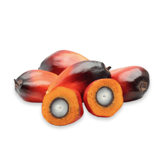 Atlantic Rose Palm Kernel Oil